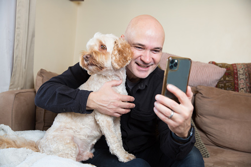 Man on a video call on his phone with his pet cockapoo