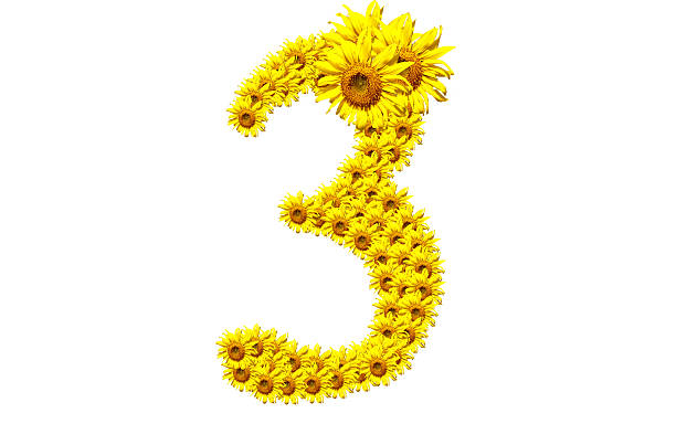 "3" sunflower number stock photo
