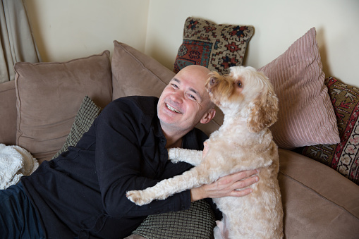 Man on a sofa playfully cuddling and hugging his cockapoo dog at home