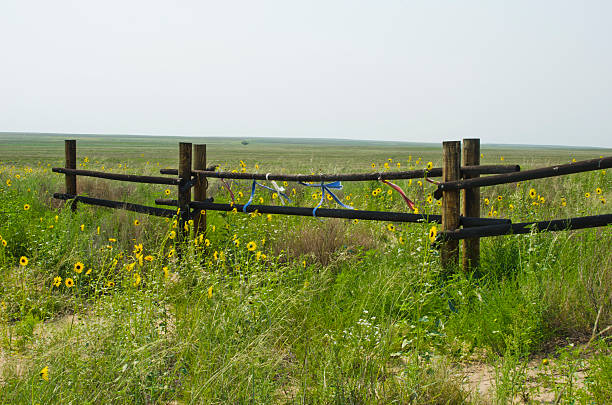 These Indian ribbon offerings on a fence post in the plains of Eastern Colorado pay homage to the horrible history of the Sand Creek Massacre National Historic Site.  It was in these cottonwood trees that over 150 Cheyenne and Arapaho Indians were killed without provocation by Colonel John Chivington and two regiments of soldiers on the morning of November 29, 1864.  The tribes under Black Kettle and White Antelope, had signed a treaty committing to live in peace, but Chivington was looking for political gain and took it upon himself to instigate a massacre of unassuming men, women and children.The massacre site was kept secret for years and was not identified publically until 1999.  In 2007 the Sand Creek Massacre National Historic Site was established outside of Eads, Colorado.