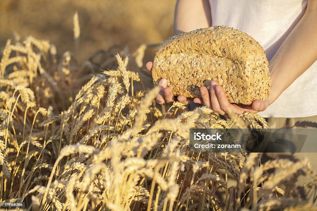 식빵 한 덩어리 - 로열티 프리 갈색 빵 스톡 사진