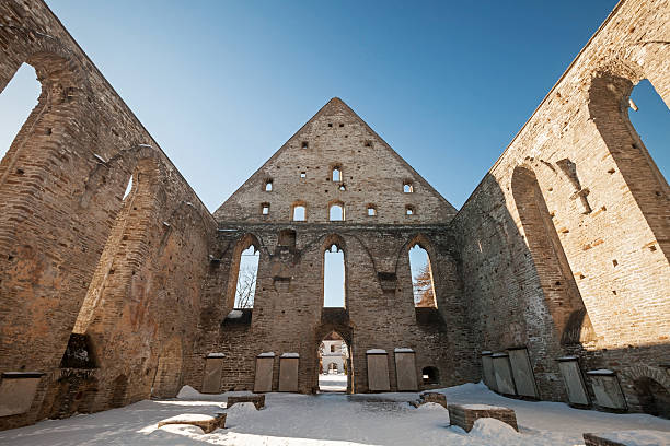 무너진 내륙발 of 복음사가 brigitta 수녀원 in 피리타, 에스토니아 탈린 - estonia tallinn old ruin ruined 뉴스 사진 이미지