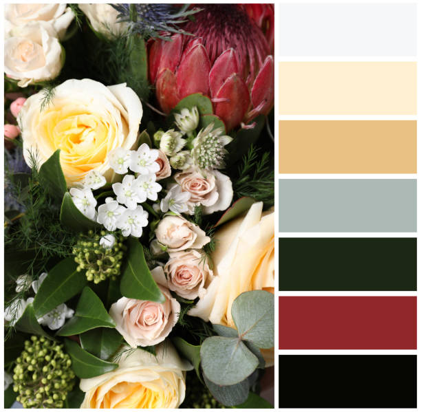 istock Beautiful fresh flowers and color palette. Collage 1791690524