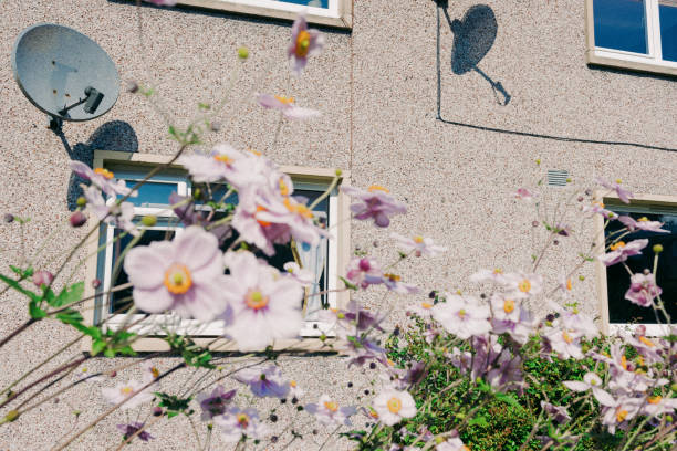Pink flowers in front of apartment complex