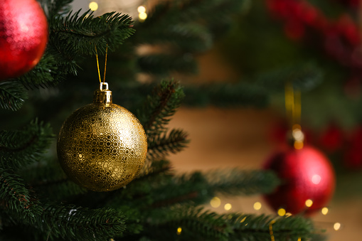Beautiful Christmas ball hanging on fir tree branch against blurred background, closeup. Space for text