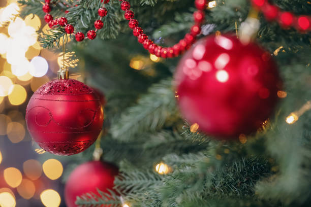 istock Red baubles hanging on Christmas tree, closeup. Bokeh effect 1791693846