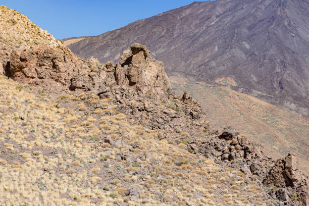 istock Tenerife's Teide National Park 1791696651