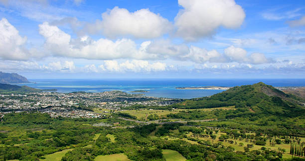 istock Living in paradise 179170216