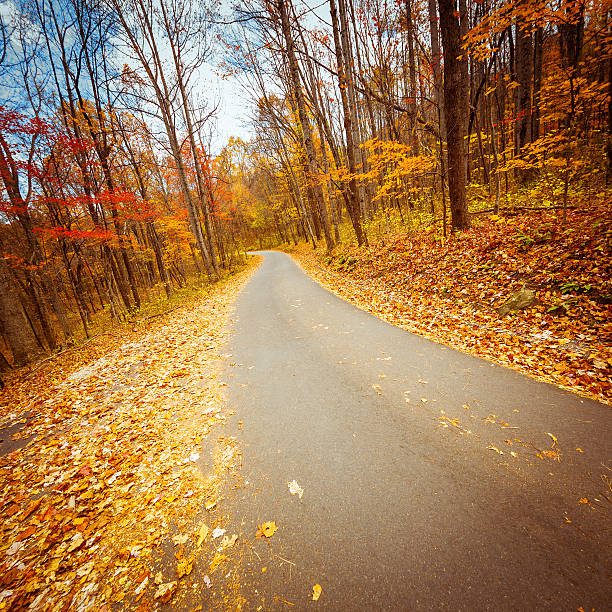 осенний сельская дорога в лесу - gatlinburg road winding road tennessee стоковые фото и изображения