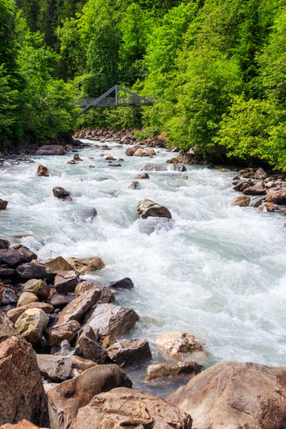 vista del fiume kander in svizzera - waterfall footbridge switzerland rapid foto e immagini stock