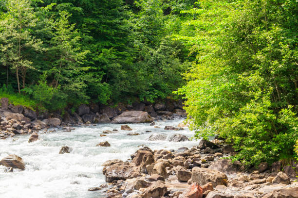 スイスのカンデル川の眺め - waterfall footbridge switzerland rapid ストックフォトと画像