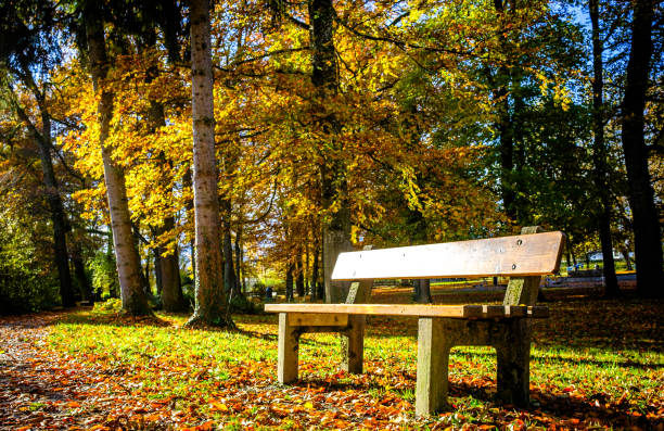 istock typical old wooden bench - closeup 1791710312