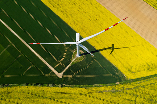 renewable energy: wind turbines