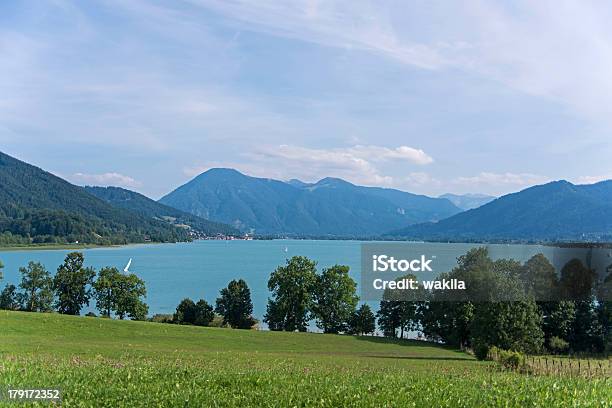 Tegernsee - Fotografie stock e altre immagini di Acqua - Acqua, Albero, Alpi