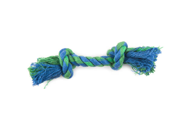 istock Rope toy for dog isolated on white . 1791725948