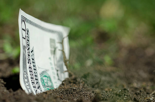 istock Money growing like grass 179172746