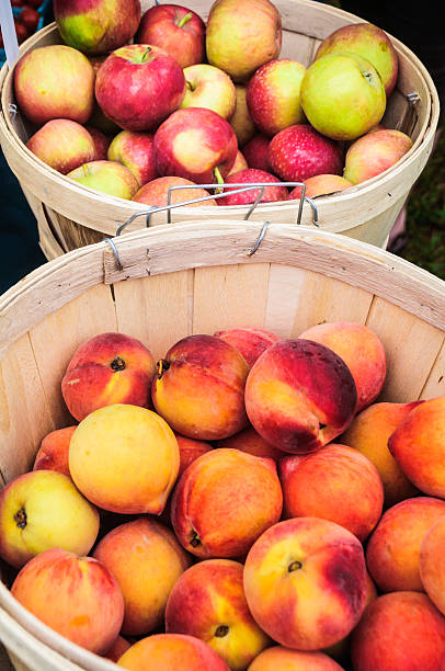 istock Fruits of Summer 179173688