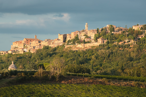Lush green vineyards and the charming, historic Tuscan hilltop village Montepulciano on a sunny, summer evening in the rural countryside of Tuscany, Italy.