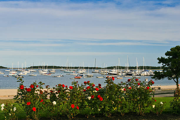 Boats parked at Lewis Bay, Cape Cod. stock photo