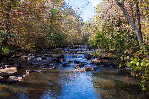 istock Line Creek in Autumn 1791749177