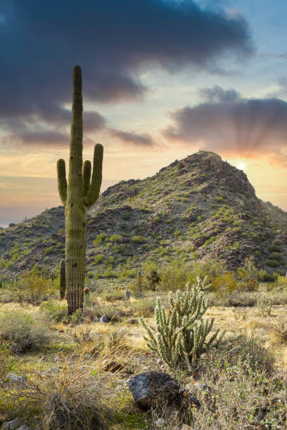 istock Arizona Desert Landscape with Sun Rays 1791753790