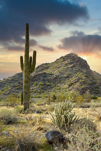 Arizona Desert Landscape with Sun Rays
