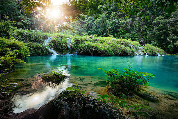 Cascades National Park in Guatemala Semuc Champey at sunset Cascades National Park in Guatemala Semuc Champey at sunset. guatemala landscape stock pictures, royalty-free photos & images