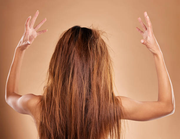 Messy, tangled and back of a woman in a studio with knot, brittle and damaged hairstyle. Dry, frizzy and female model with long and big hair for salon restore treatment isolated by brown background. desordenado, enredado y con la espalda de una mujer en un estudio con un peinado nudo, quebradizo y dañado. modelo femenina seca, encrespada y con cabello largo y grande para tratamiento de restauración de salón aislado por fondo marrón.