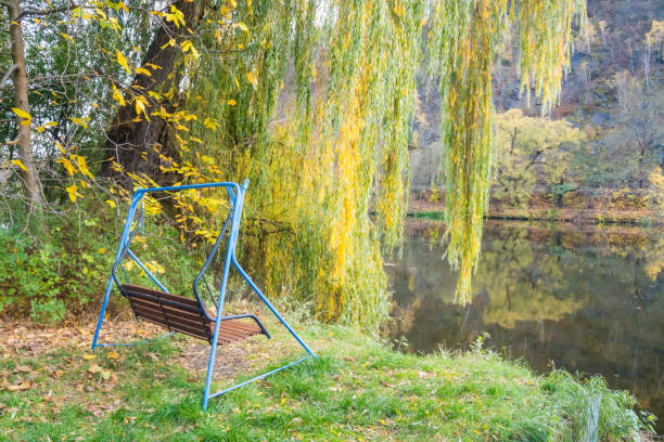 Quiet swing at Park by river Berunka Fall Autumn Trees. Autumn morning light is cast over the River. Czech. High quality photo