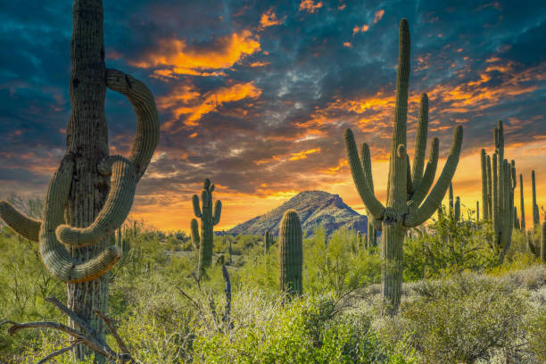 istock Spur Cross Ranch, Cave Creek, Arizona 1791786111
