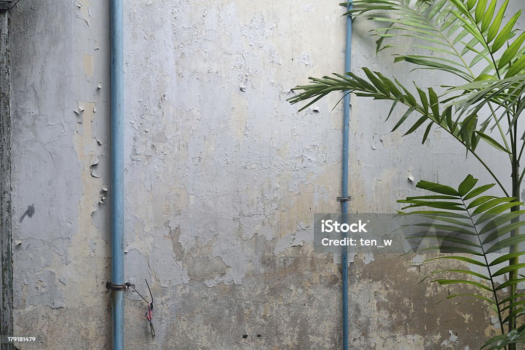 Concrete wall and the Palm background of old concrete wall and the palm leaves Architectural Column Stock Photo