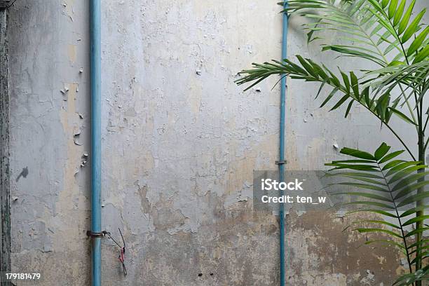 Concrete Wall And The Palm Stock Photo - Download Image Now - Architectural Column, Architecture, Backgrounds