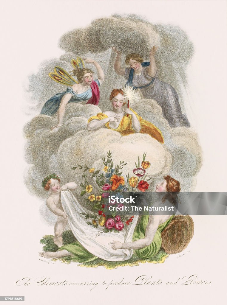 Frontispiece Antique Botanical Frontispiece Illustration Circa 1820 Stock ...