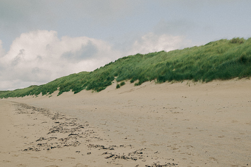 Sand dunes with dune grass at Northern Sea of Europe in Netherlands