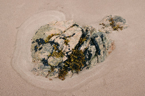 Seasweed on rocks on Durness Beach (Scottish Highlands)