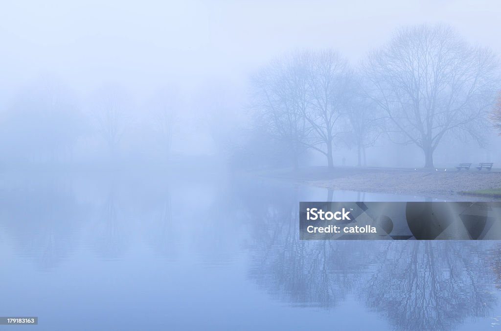 Дерево отражены в озеро и туман - Стоковые фото Б�ез людей роялти-фри