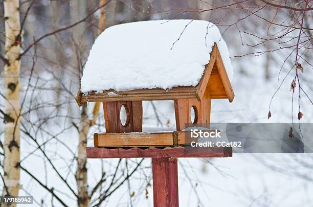 Vogelfutterspender Stockfoto und mehr Bilder von Baum - Baum, Eingefroren, Einzelner Gegenstand