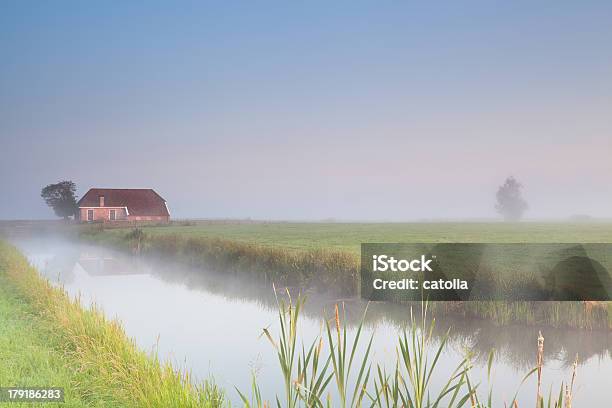 Granja En Riverside En La Niebla De La Mañana Foto de stock y más banco de imágenes de Agricultura - Agricultura, Agua, Aire libre