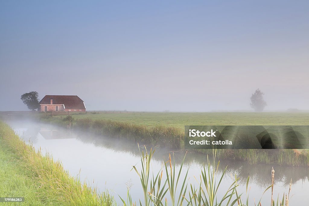 Ferme sur riverside dans le brouillard du matin - Photo de Agriculture libre de droits