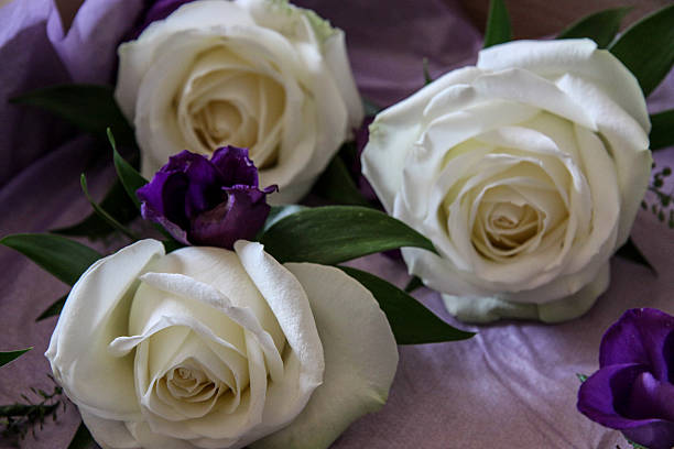 istock White Rose Wedding Buttonhole Flowers 179186347