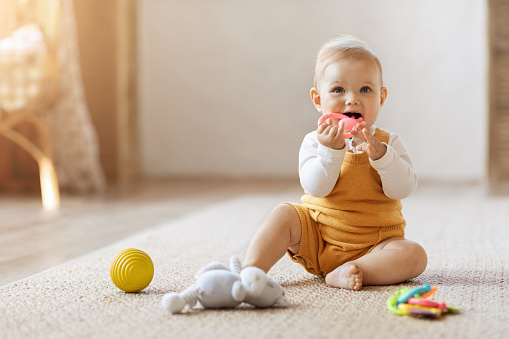 Happy cute blonde toddler baby playing with kids toys at home while sitting on carpet floor in living room. Portrait of smiling cute little child using colorful toys, chewing teether, copy space