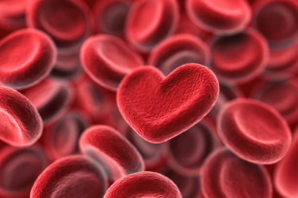 концепция донорства крови. сердце. клетки крови. - противовирусный препарат стоковые фото и изображения