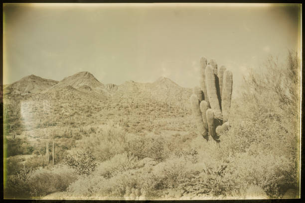 istock Spur Cross Ranch, Cave Creek, Arizona 1791901434