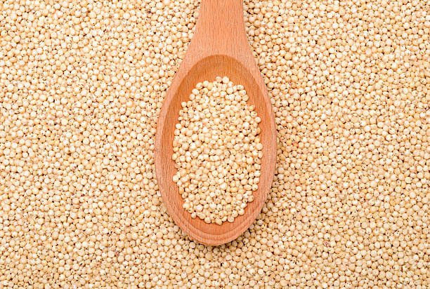 istock Organic Sorghum Grains 179190623
