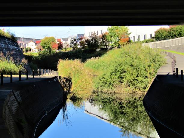 istock Under the bridge. Autumn background. 1791910354