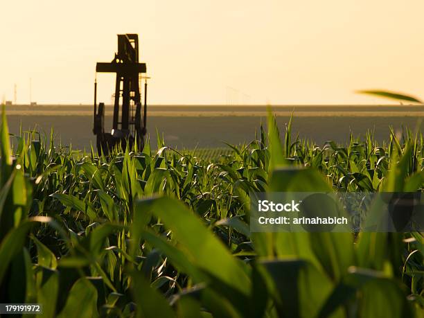 Pumpjack Foto de stock y más banco de imágenes de Agricultura - Agricultura, Aire libre, Alimento