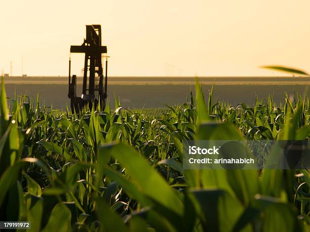 Pumpjack - zdjęcia stockowe i więcej obrazów Benzyna - Benzyna, Bez ludzi, Fotografika