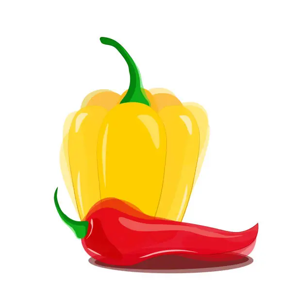 Vector illustration of Yellow bell peppers and red hot chili peppers. Vector