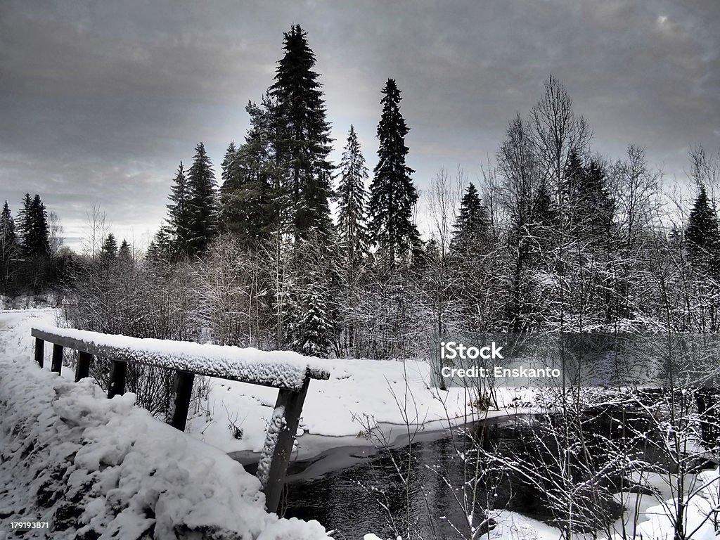 Rivière en hiver - Photo de Arbre libre de droits