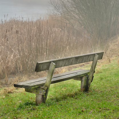 Bench in a Beautiful bog landscape in autumn, bog vegetation painted in autumn, small swamp lakes, islands overgrown with small bog, reed, grass, moss cover the ground,